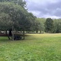 Crystal Palace Park - The Avenue