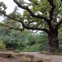 Crystal Palace Park - Dinosaur Island