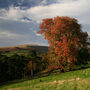 Pendarren House - Exteriors & Grounds