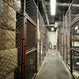 Tunnels & Hallways