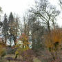 Dabton House