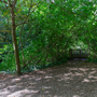 Holland Park - Woodland Area