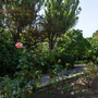 Holland Park - Belvedere