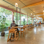 Lea Bridge Library - Pavilion