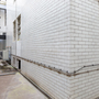 Senate House - Light Wells