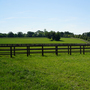 Martley Hall - Stud and Arena