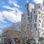 Clapham Flat with Roof Terrace