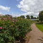 Chiswick House - Grounds