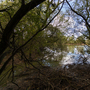 Fairlop Waters Country Park - Lakes