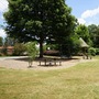 Thrasher Park