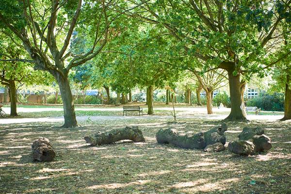 Rosemary Gardens & Football Pitch and Tennis Courts