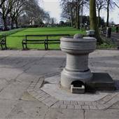 Fortune Green