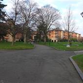Queen's Gardens