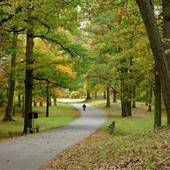 Caumsett State Park