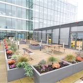 Bernard Weatherill House Rooftop