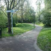 Russia Dock Woodland
