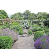 Ravenscourt Park - Flower Garden
