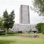 Wayneflete Square