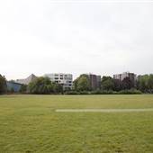 Holland Park - Cricket Pitch, Gym area and Petanque