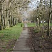 Poverest Park