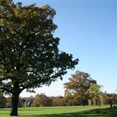 Friary Park