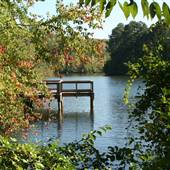 Little Mulberry Park