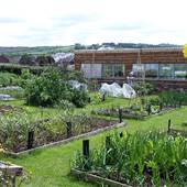 Newquay Community Orchard