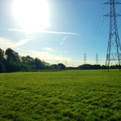 Lee Valley Showground