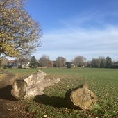 Alexandra recreation ground