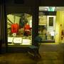 Kingston Museum