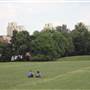 Larkhall Park