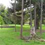 Lamorbey Park