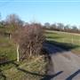 Scadbury Park Nature Reserve
