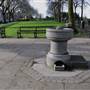 Fortune Green