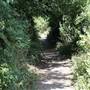 Croham Hurst