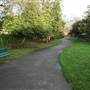 Holly Grove Shrubbery