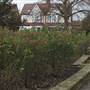 Beverley Park