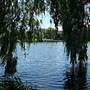 Danson Park