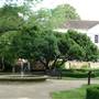 Waterlow Park