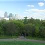 Stave Hill