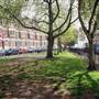 Primrose Gardens