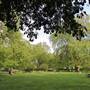 Brunswick Square Gardens