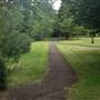 The Knoll