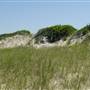 Peconic Dunes County Park