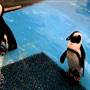 Long Island Aquarium