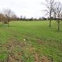 Upper Norwood Recreation Ground