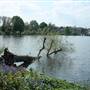 South Norwood Lake and Grounds