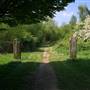South Norwood Lake Trim Trail