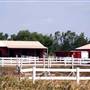 Hammonton - Condos and Vineyard
