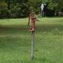 Chestnut Neck